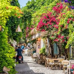 Asma Yapragi User Photo