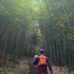 LOBSTER MONSTRE 여행 사진