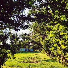 Happy Lamb Hot Pot User Photo