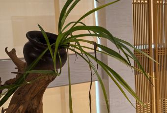 天池山云端木屋·茶香别院阳光餐厅 User Photo