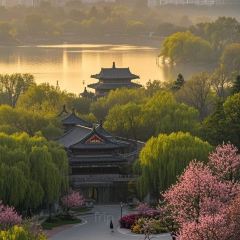 Baijiazhaobing User Photo