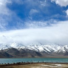 MUYUN  RESTAURANT User Photo