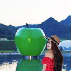 河源春沐源小镇·棕榈树酒店·Papa Razzi西餐厅 User Photo