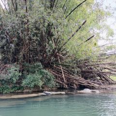 水厄底人家·遇龙河漂流(水厄底码头店) User Photo