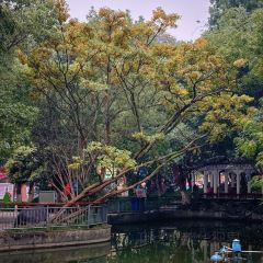 TONG QING LOU 여행 사진