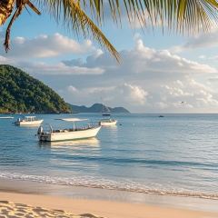 陈家风味饭馆·渔家乐海鲜大排档·老字号(坛南湾店) User Photo