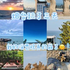 海岛日记(养马岛店) User Photo