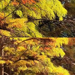 铁锅年代(天台店) User Photo