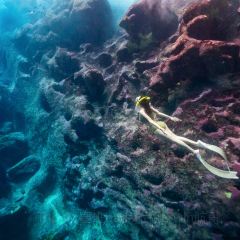 Oleai Beach Bar & Grill User Photo