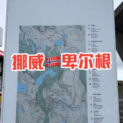 Skyskraperen張用戶圖片