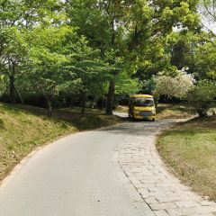 無邪張用戶圖片