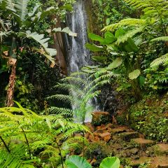 Omma Dayclub Bali User Photo