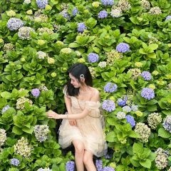 海如的花園張用戶圖片