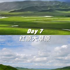 大嘴巴養生湯鍋張用戶圖片