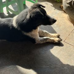 龙腾苑生态园 여행 사진