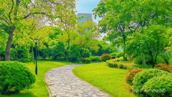Dongyuan Wetland Park