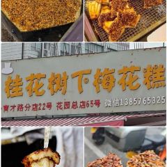 墙里墙外 User Photo