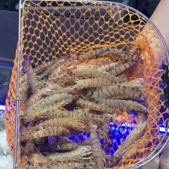 肥仔荣大排档 User Photo