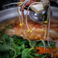 小舒冰粉 User Photo