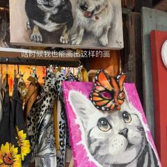 Yook Samai User Photo