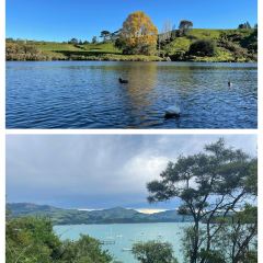 Talk of India User Photo