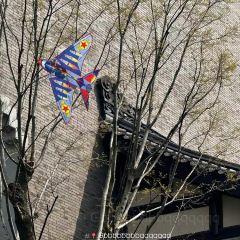 老裴鸭头.兔头 User Photo