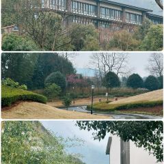 Club Med Joyview安吉度假村(港中旅酒店店) User Photo