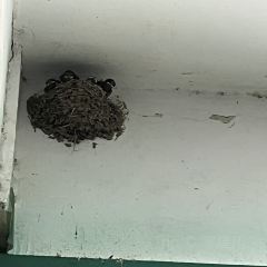 MI XUE BING CHENG User Photo