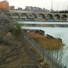 九孔桥夜市 User Photo