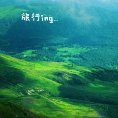 香水鱼铁锅炖 User Photo