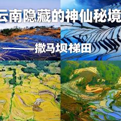 SA MA BA 여행 사진