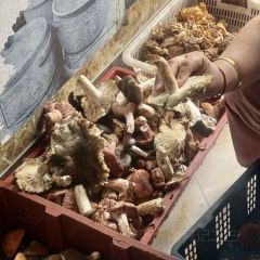 盐帮菌王府石锅鸡(鲁朗店) User Photo