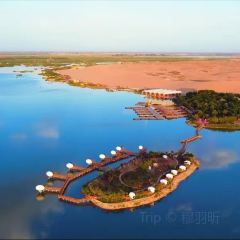 沙湖不夜城 User Photo
