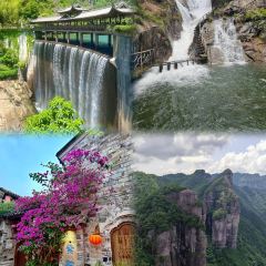 冬芳蛋饼 User Photo