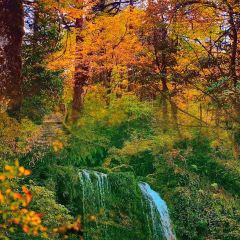 XIEXIAOJIU HOTPOT User Photo