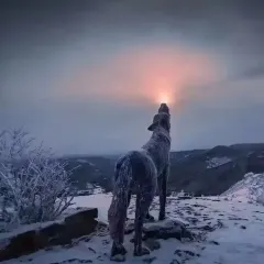 Anda barbecue User Photo