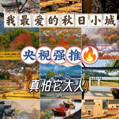 秀嫂挞粿 User Photo