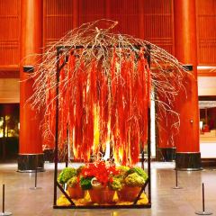 Shan Chinese Restaurant User Photo