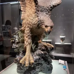 TUWEIMEI XIAOHUANGYU User Photo