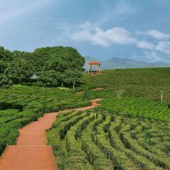 永盛酒樓張用戶圖片