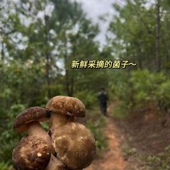 大嘴巴養生湯鍋張用戶圖片