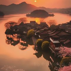 海边渔家 User Photo