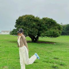 XIA NAN WA BAO JI 여행 사진