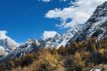 永利藏餐(马尔康八六藏餐分店)