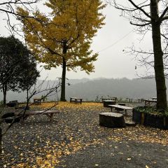 熊血旺(赵公山店) User Photo