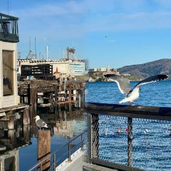 Tatte Bakery & Cafe User Photo