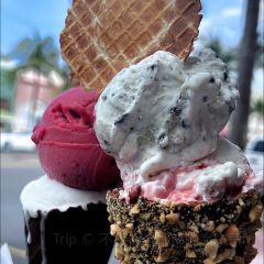 Bull In The Alley User Photo