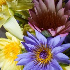 哈尼人家 User Photo