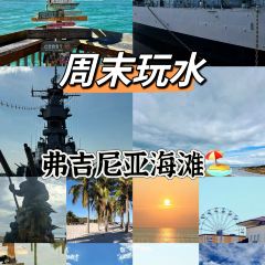 Catch 31張用戶圖片