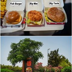 McDonald's El Arjate User Photo